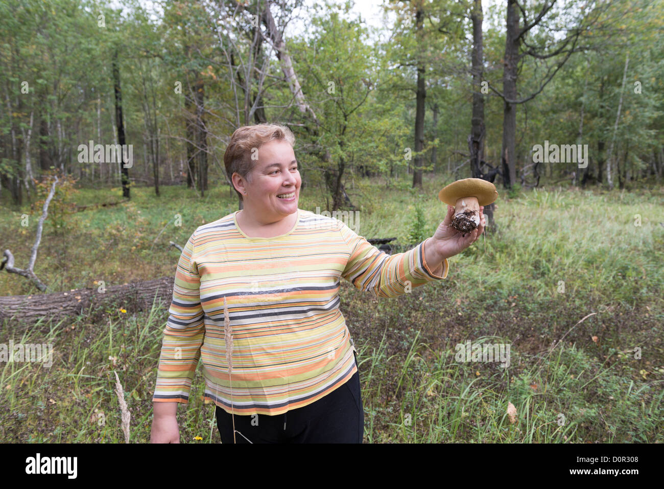 Frau Russland Wald Wald Pilze sammeln Spaß Stockfoto