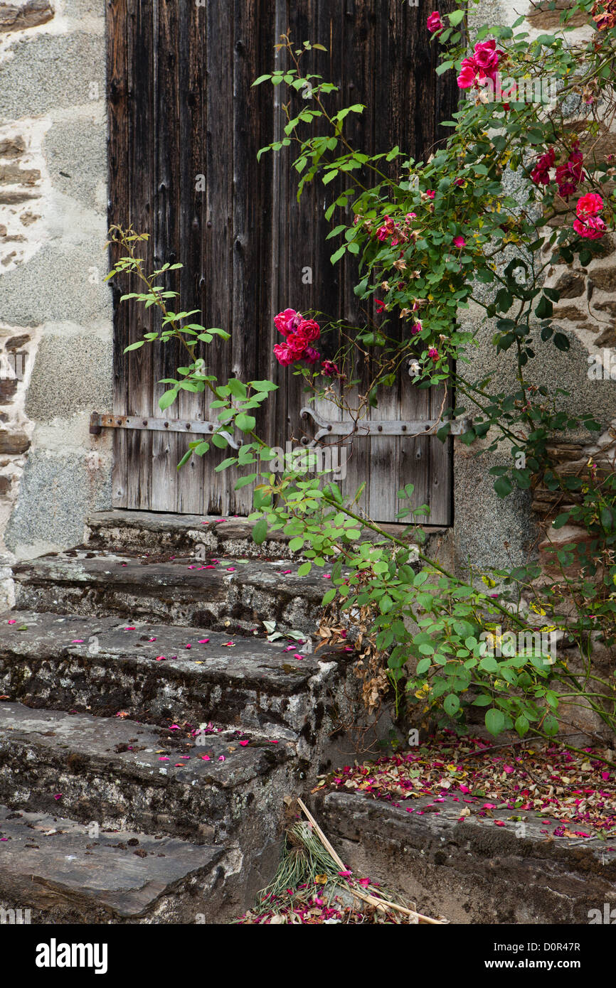 eine Tür im Ségur-le-Château, Corrèze, Limousin, Frankreich Stockfoto