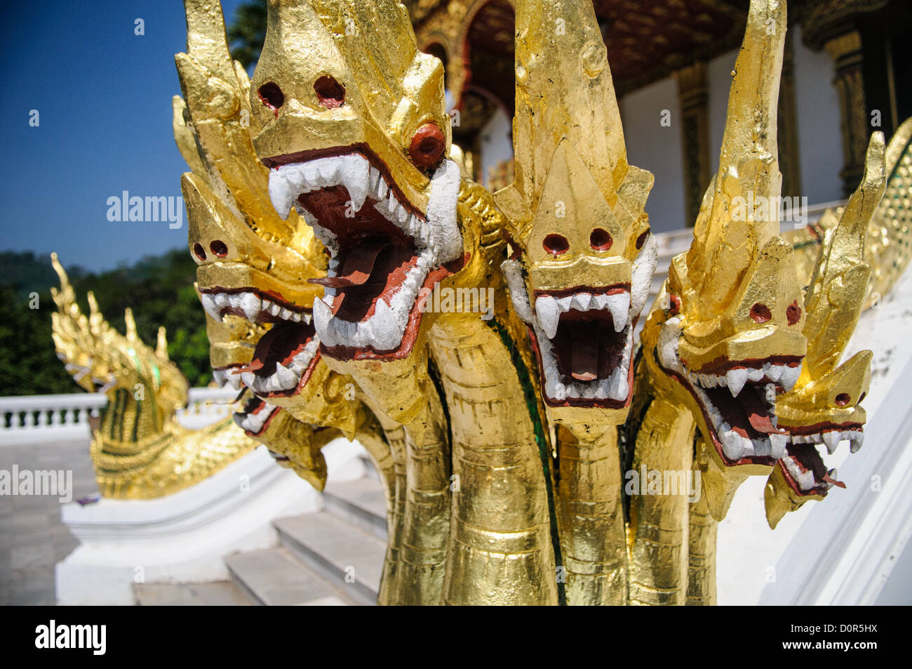 LUANG PRABANG, Laos – Goldene Naga (König Cobras) zieren die Treppe von Haw Pha Bang (Schlosskapelle) im Königlichen Palastmuseum in Luang Prabang, Laos. Die kunstvoll verzierte Kapelle in der nordöstlichen Ecke des Museumsgeländes zeigt traditionelle laotische Architektur und buddhistische Symbolik. Stockfoto