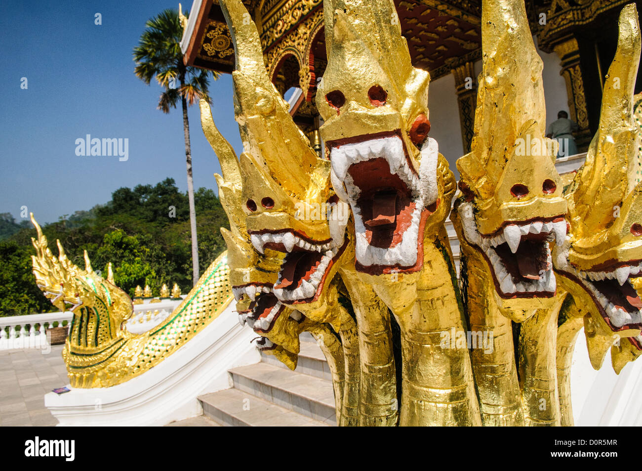 LUANG PRABANG, Laos – Goldene Naga (König Cobras) zieren die Treppe von Haw Pha Bang (Schlosskapelle) im Königlichen Palastmuseum in Luang Prabang, Laos. Die kunstvoll verzierte Kapelle in der nordöstlichen Ecke des Museumsgeländes zeigt traditionelle laotische Architektur und buddhistische Symbolik. Stockfoto