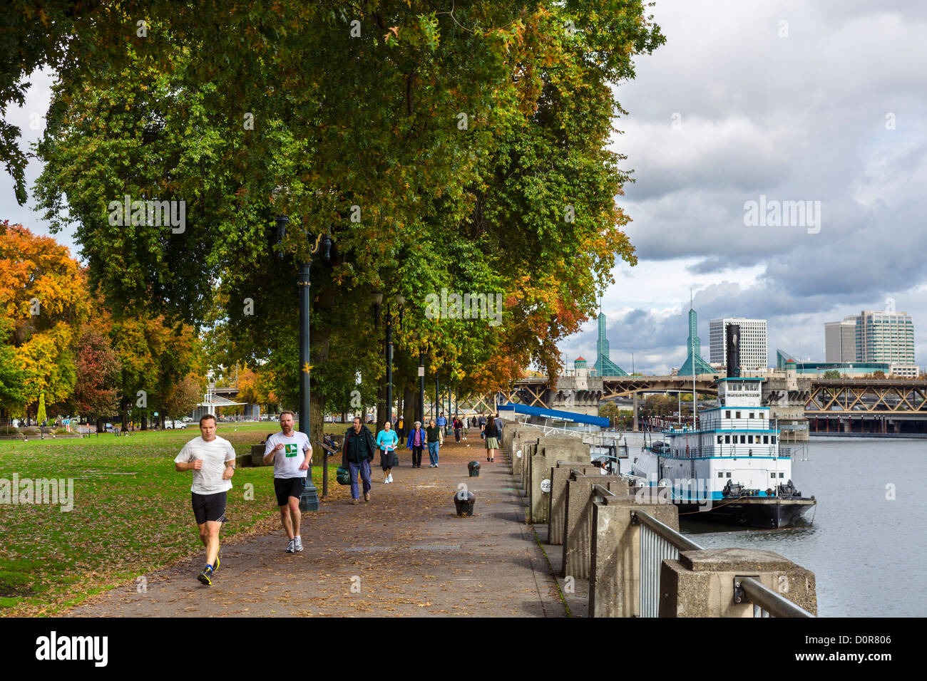 Tom McCall Waterfront Park an den Ufern des Willamette River, Portland, Oregon, USA Stockfoto