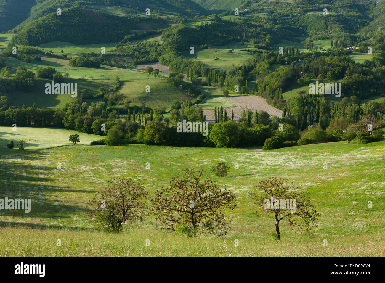 die Valnerina Nationalpark Monti Sibillini, Umbrien, Italien Stockfoto