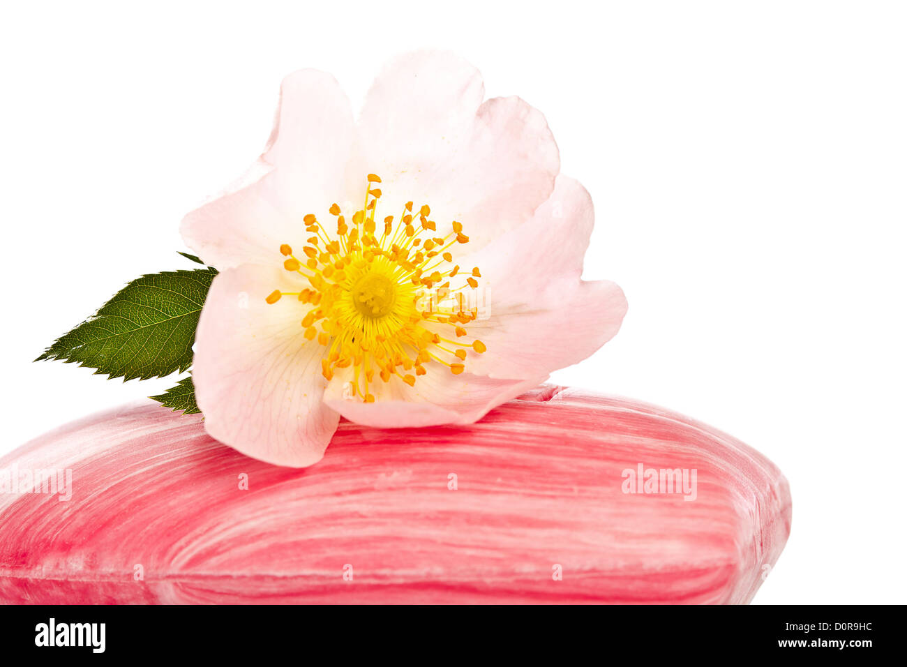 Rosa Seife mit Blume Stockfoto