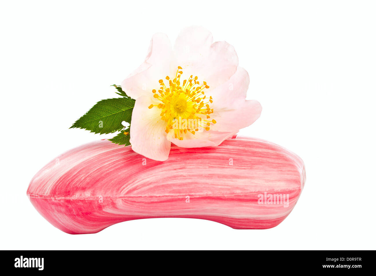 Rosa Seife mit Blume Stockfoto