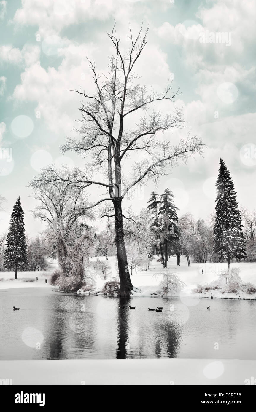 Winterlandschaft mit Enten auf einem Fluss Stockfoto