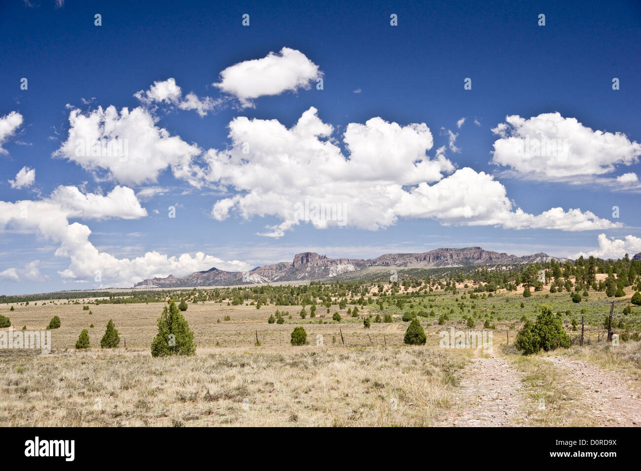 Big Sky Country Stockfoto
