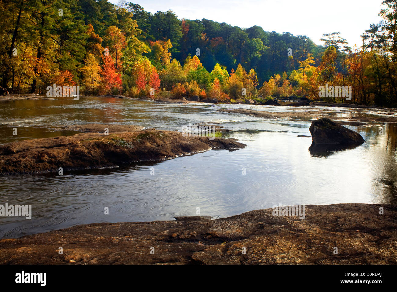 GA00164-00... Georgien - Herbst Farbe entlang des Towaliga Flusses in High Falls State Park. Stockfoto
