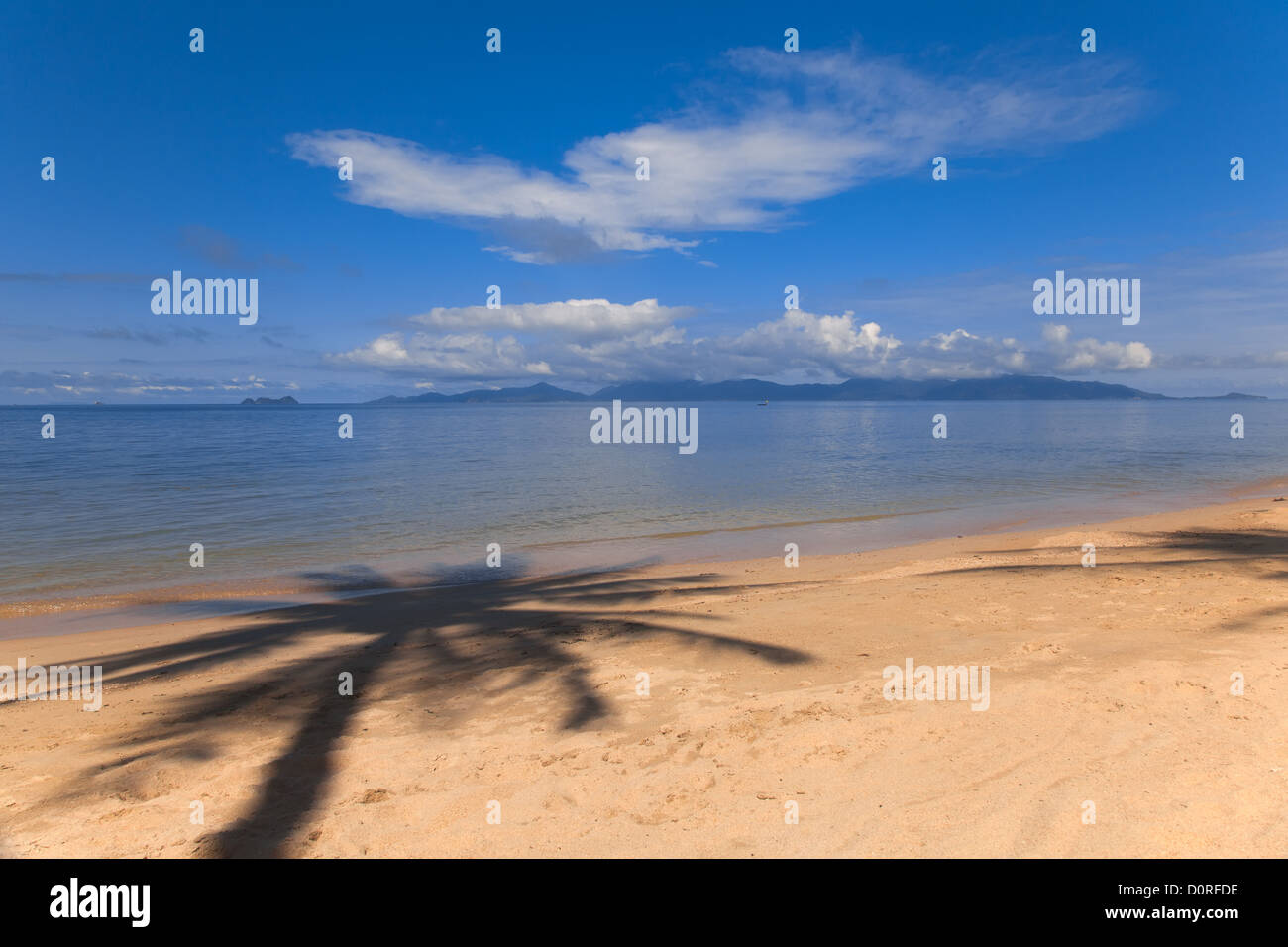 Palm Tree Schatten am Strand Stockfoto