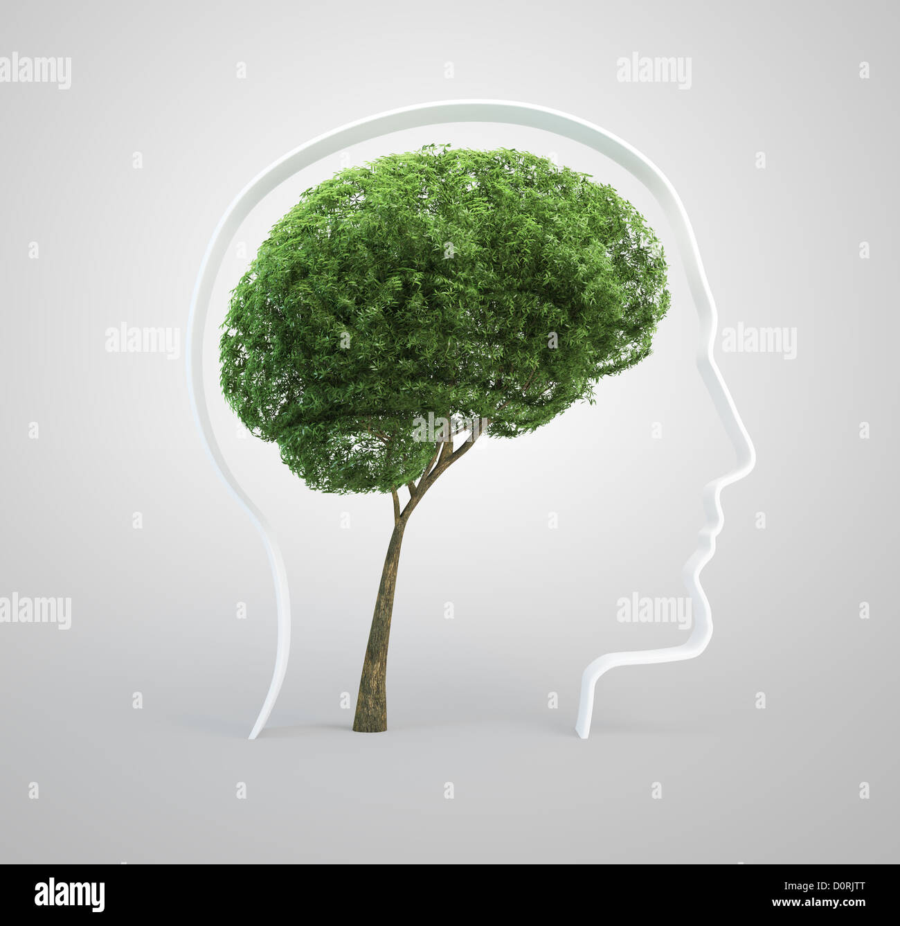 Gehirn-Baum - ein menschlicher Kopf Stockfoto