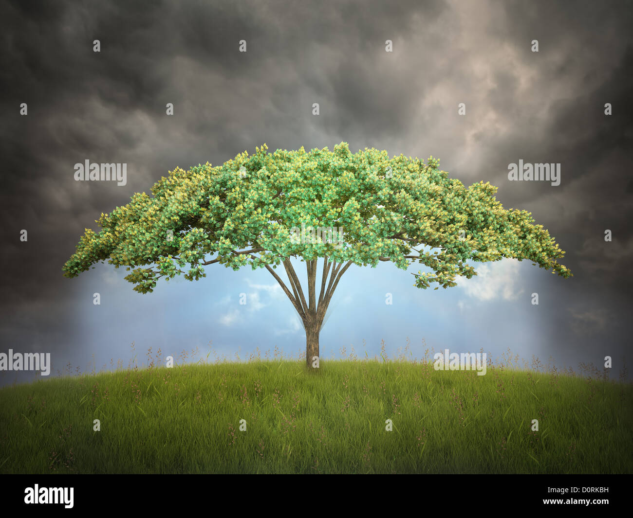 Regenschirm Baum geformt Stockfoto