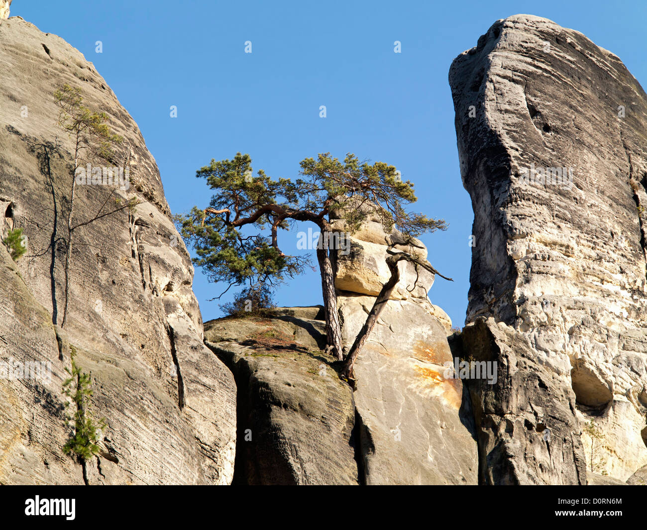 Felsen im Böhmischen Paradies Stockfoto