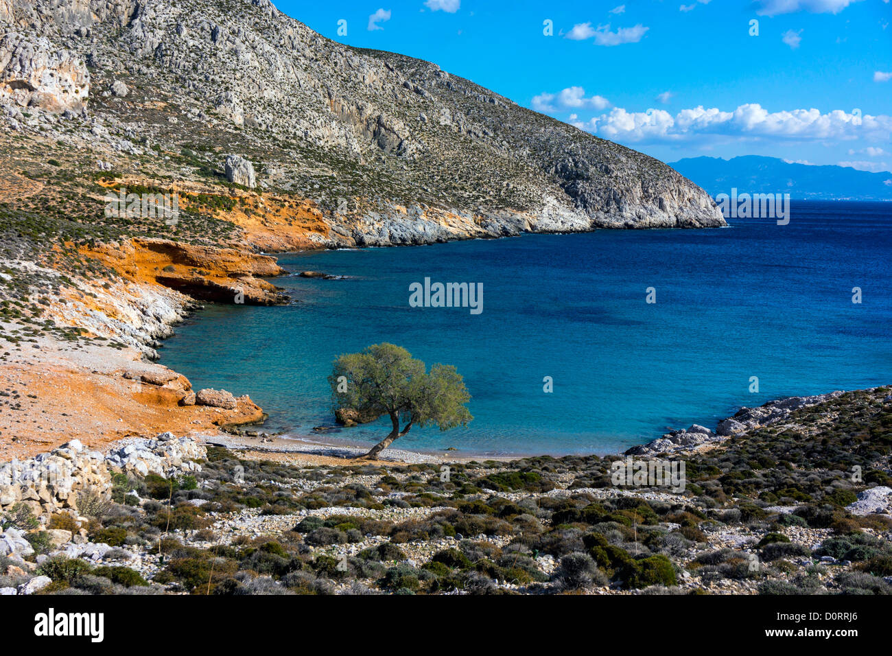 Einsamen Strand, mit einsamen Baum, Kalymnos, Griechenland Stockfoto