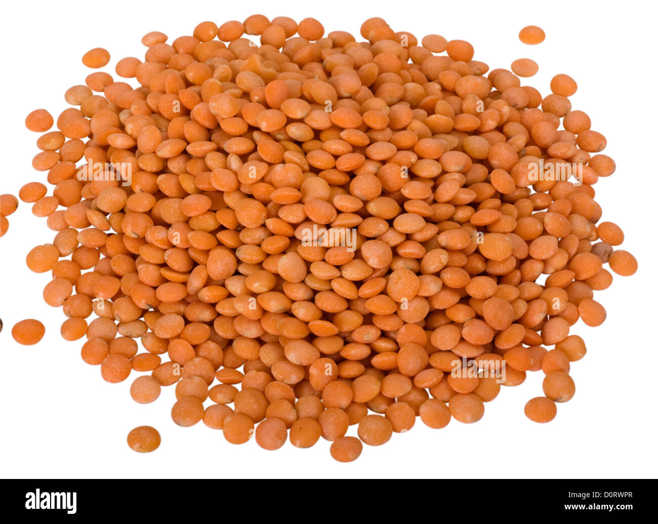Nahaufnahme von roten Linsen Stockfoto