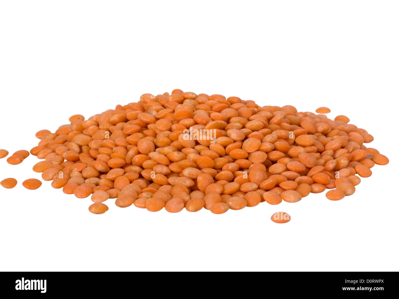 Nahaufnahme von roten Linsen Stockfoto