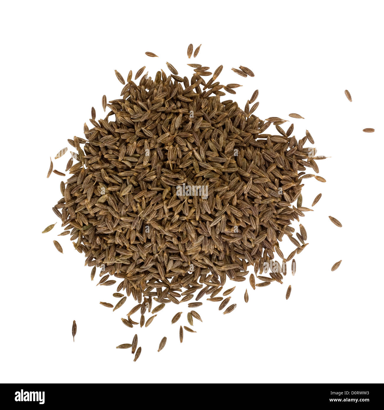 Nahaufnahme des Heaps Kreuzkümmelsamen Stockfoto