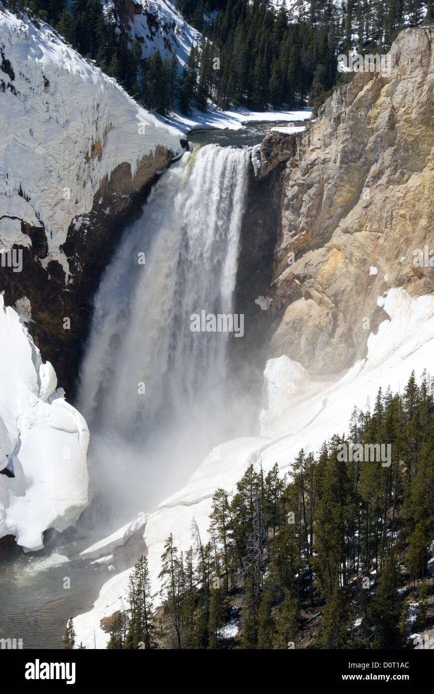 Yellowstone fällt im Winter Stockfoto