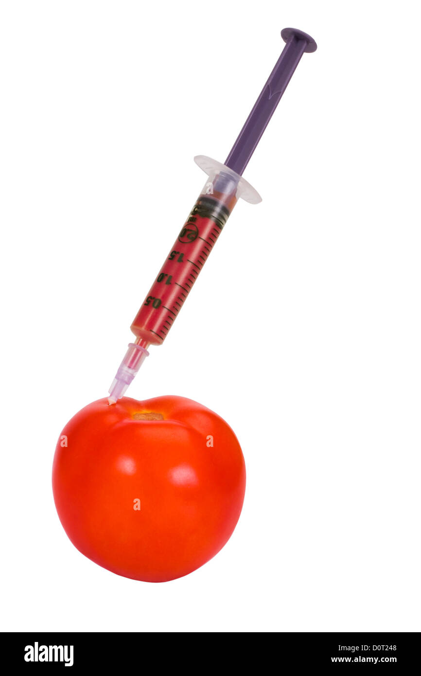 Tomaten mit einer Spritze injiziert werden Stockfoto