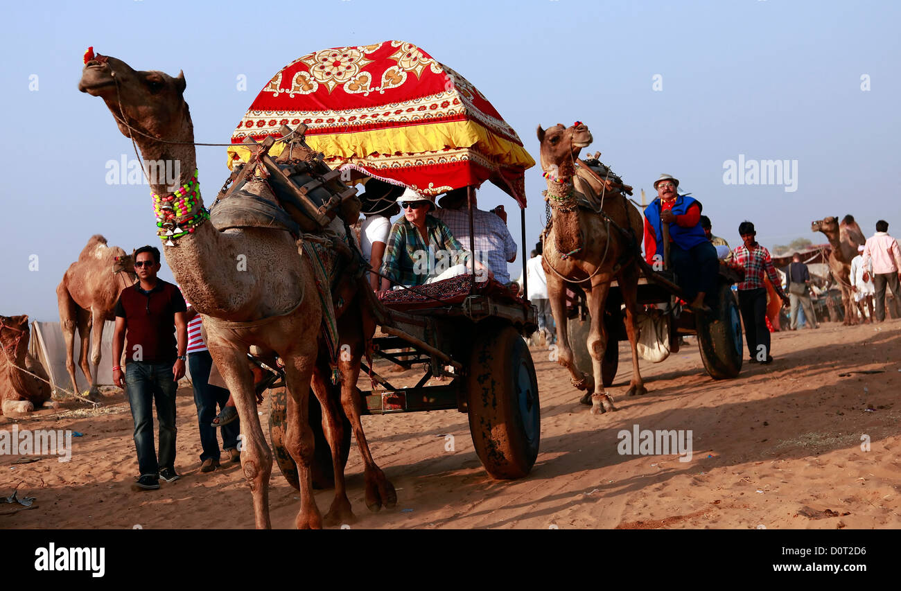 Kamelkarren auf Pushkar fair, Rajasthan, Indien Stockfoto