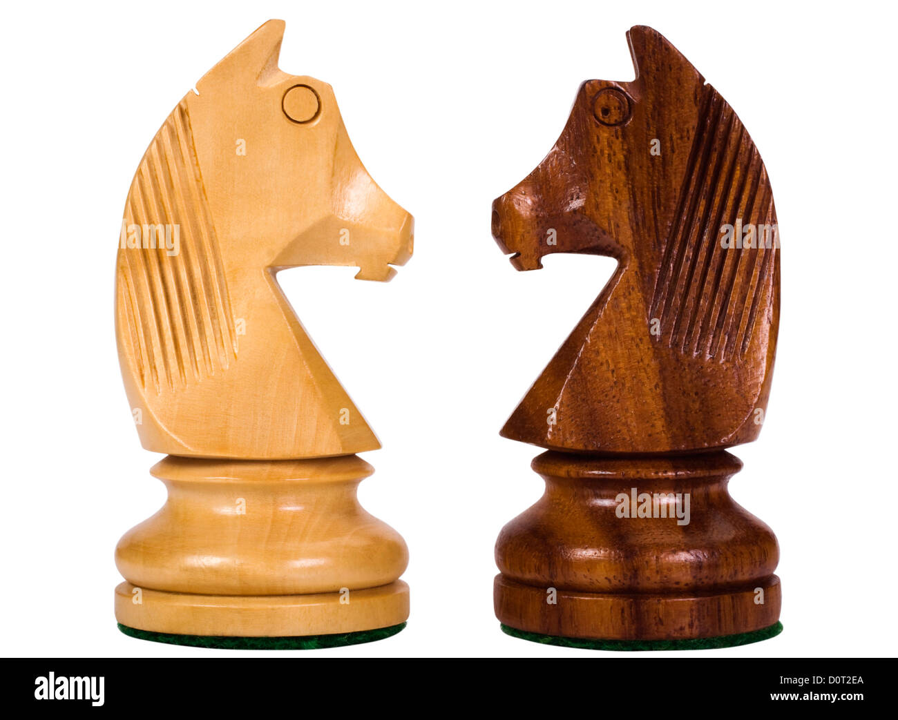Nahaufnahme der Schach-Ritter von Angesicht zu Angesicht Stockfoto