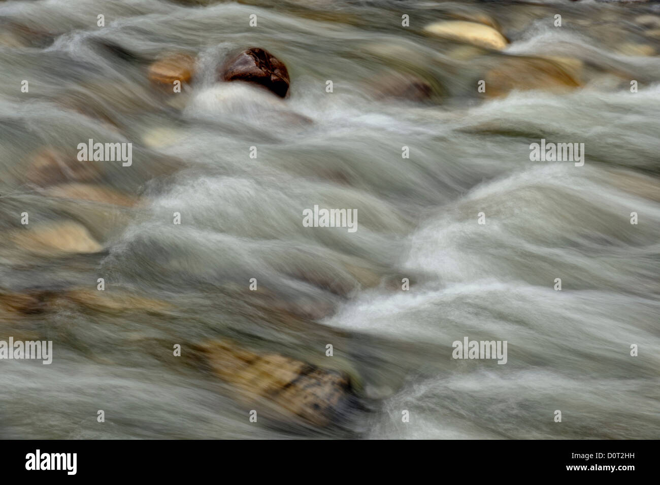 Felsen und Stromschnellen in Mosquito Creek, Banff Nationalpark, Alberta, Kanada Stockfoto