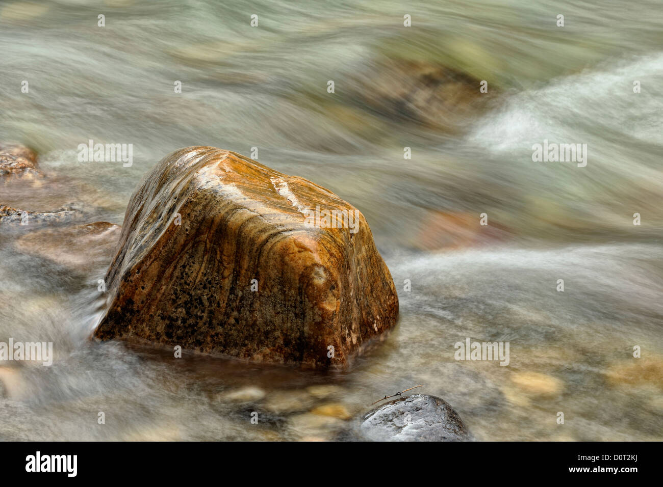 Felsen und Stromschnellen in Mosquito Creek, Banff Nationalpark, Alberta, Kanada Stockfoto