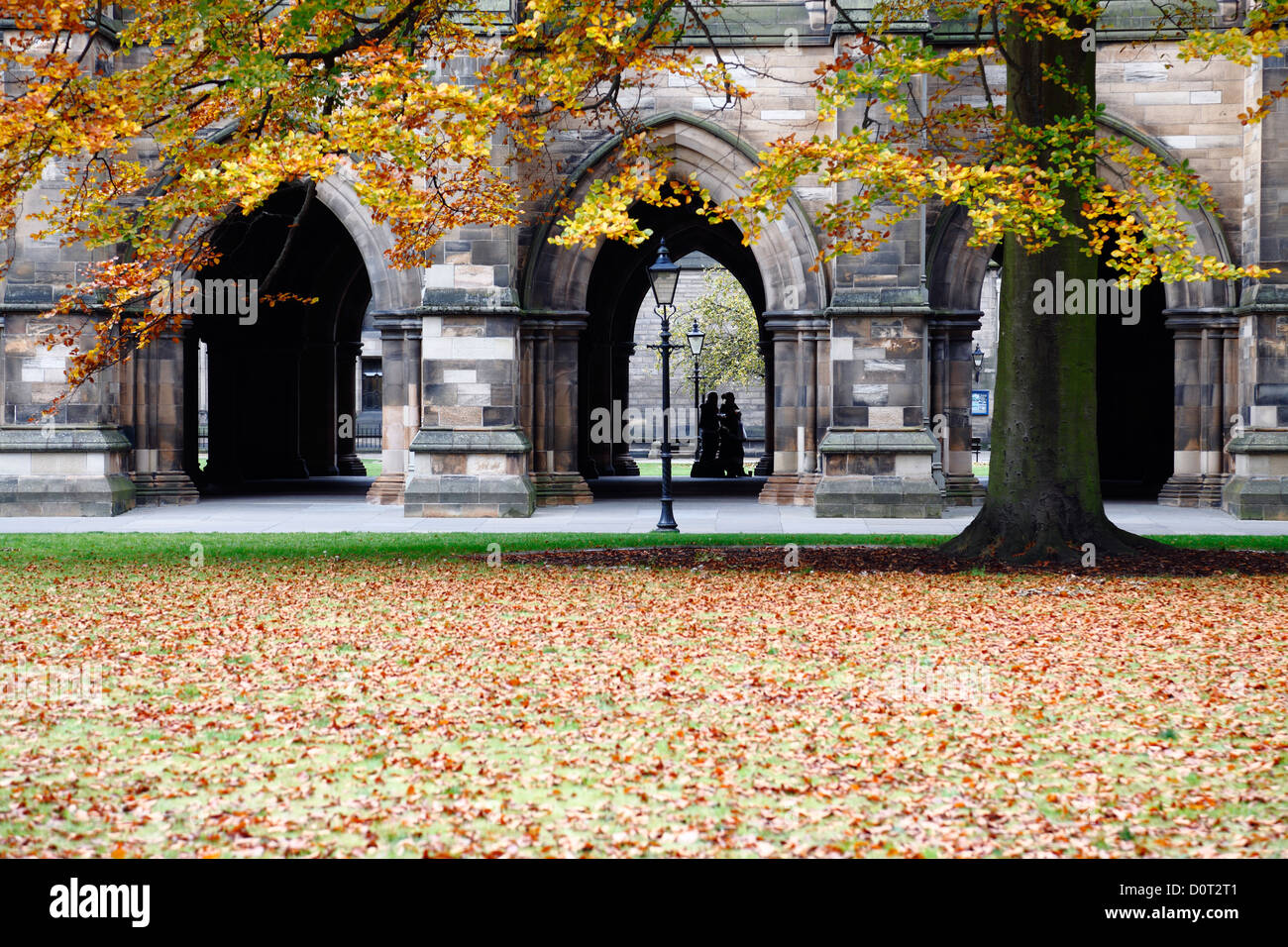 Der Osten Viereck im Herbst auf dem Campus der University of Glasgow am Gilmorehill in Glasgow, Schottland Stockfoto