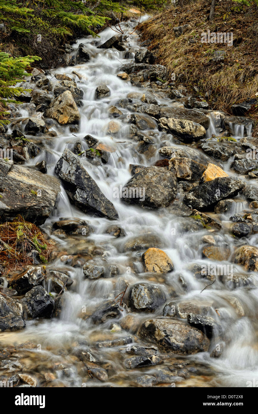 Kleine Kaskade in der Nähe der Icefields Parkway, Banff Nationalpark, Alberta, Kanada Stockfoto