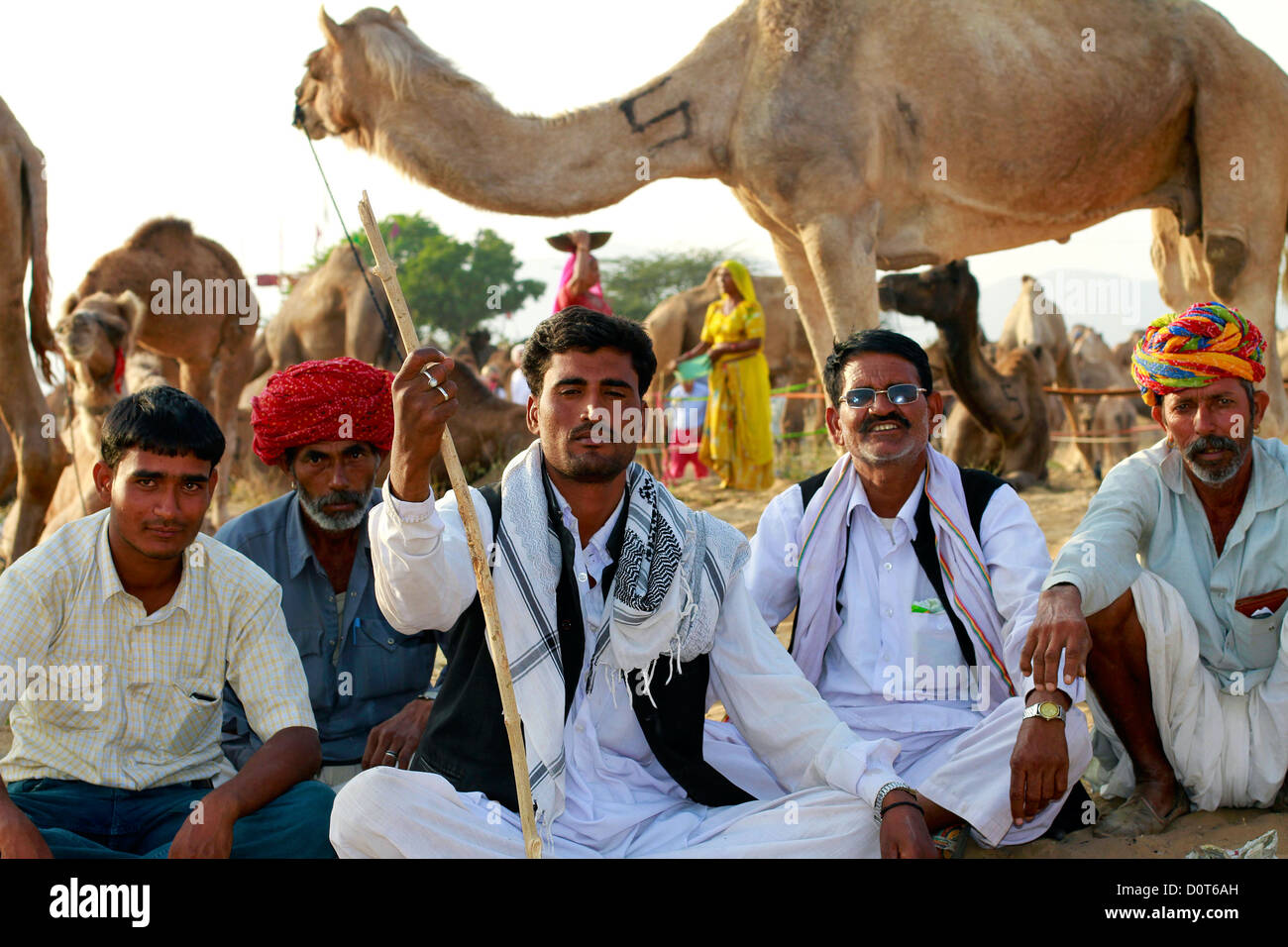 Kamelhändler auf der Pushkar Fair, Rajasthan Stockfoto