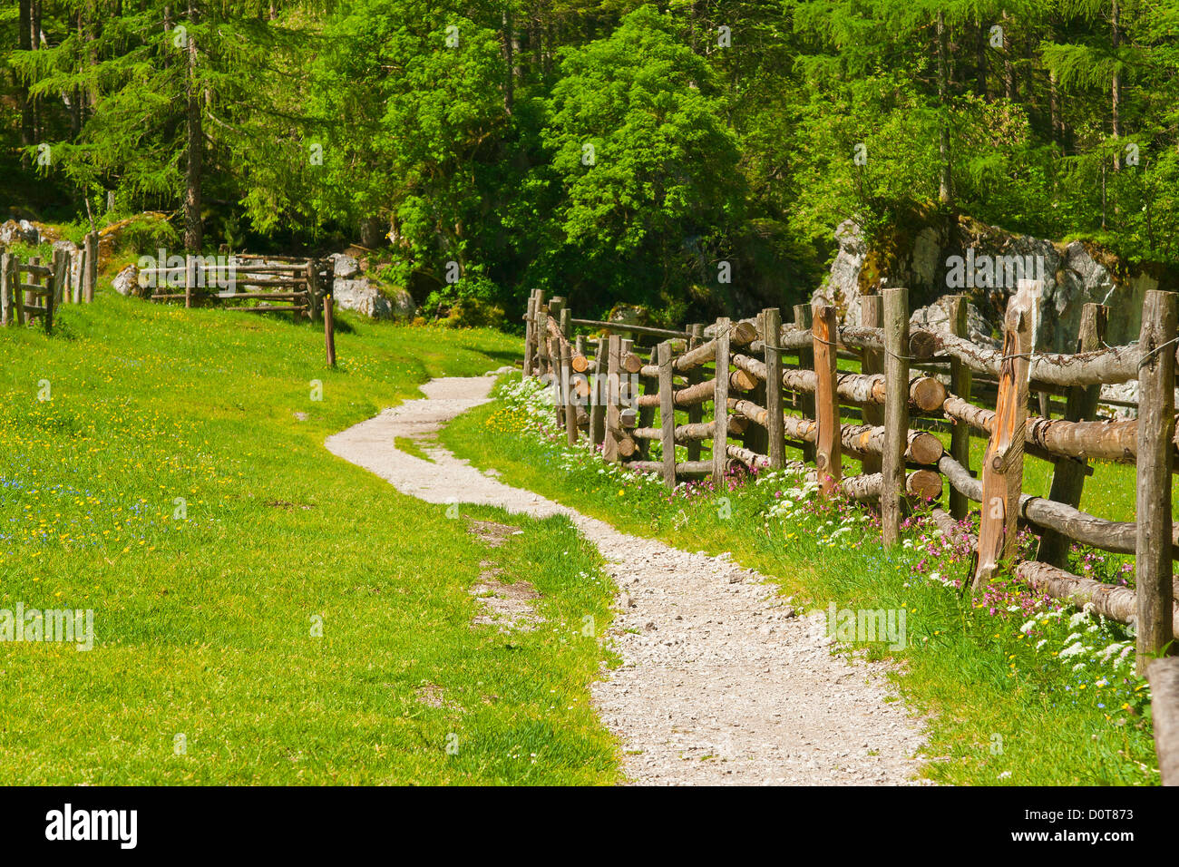 Deutschland, Bayern, Berchtesgadener Land, Weg, Wege, Wandern, laufen, gehen, Bürgersteig, Gehweg, Zaun, Road, Königsee, Obersee, Alp, eine Stockfoto