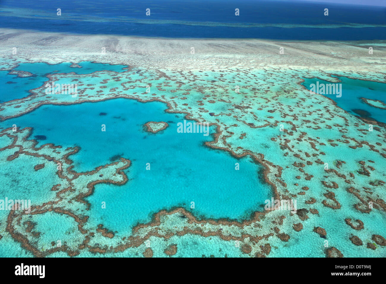 Herz-Riff, Hardy Reef, Great Barrier Reef, Natur, Hubschrauberflug, Queensland, Australien, Whitsunday Islands, reef, von Ab Stockfoto