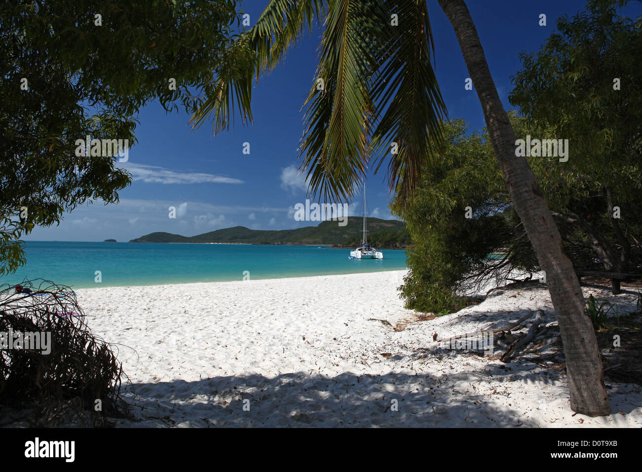 Whitsunday Island, Whitehaven Beach, Strand, Sand, weiß, weich, Meer, Türkis, klar, warm, Tropen, Traumstrand, Bild Stockfoto