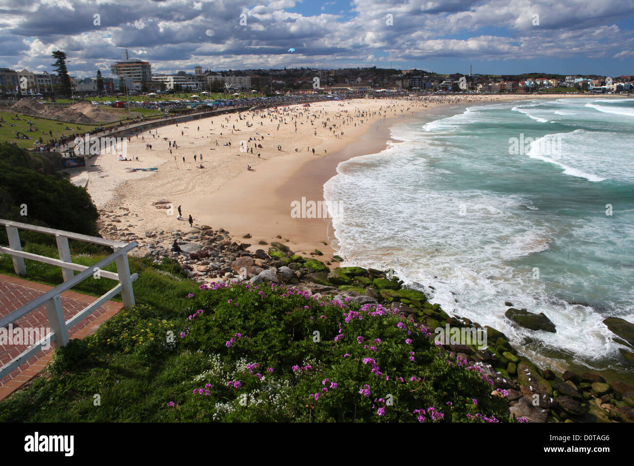 Bondi Beach, Sydney, Strand, Meer, Vorlieben, Wind, Wasser, Wellen, Wolken, Frühling, Blumen, Festival des Windes, Australien, New Sout Stockfoto
