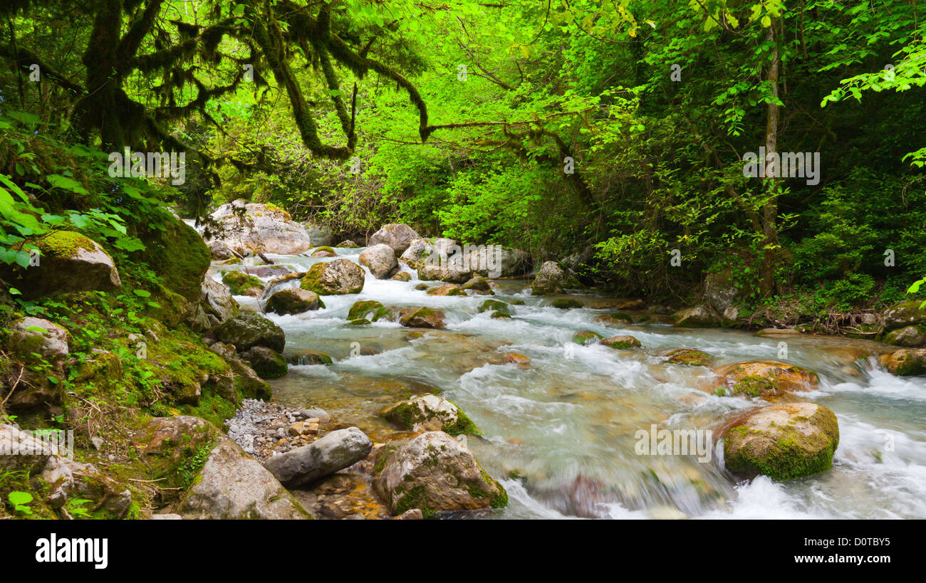Gebirgsfluss in schönen Wald Stockfoto