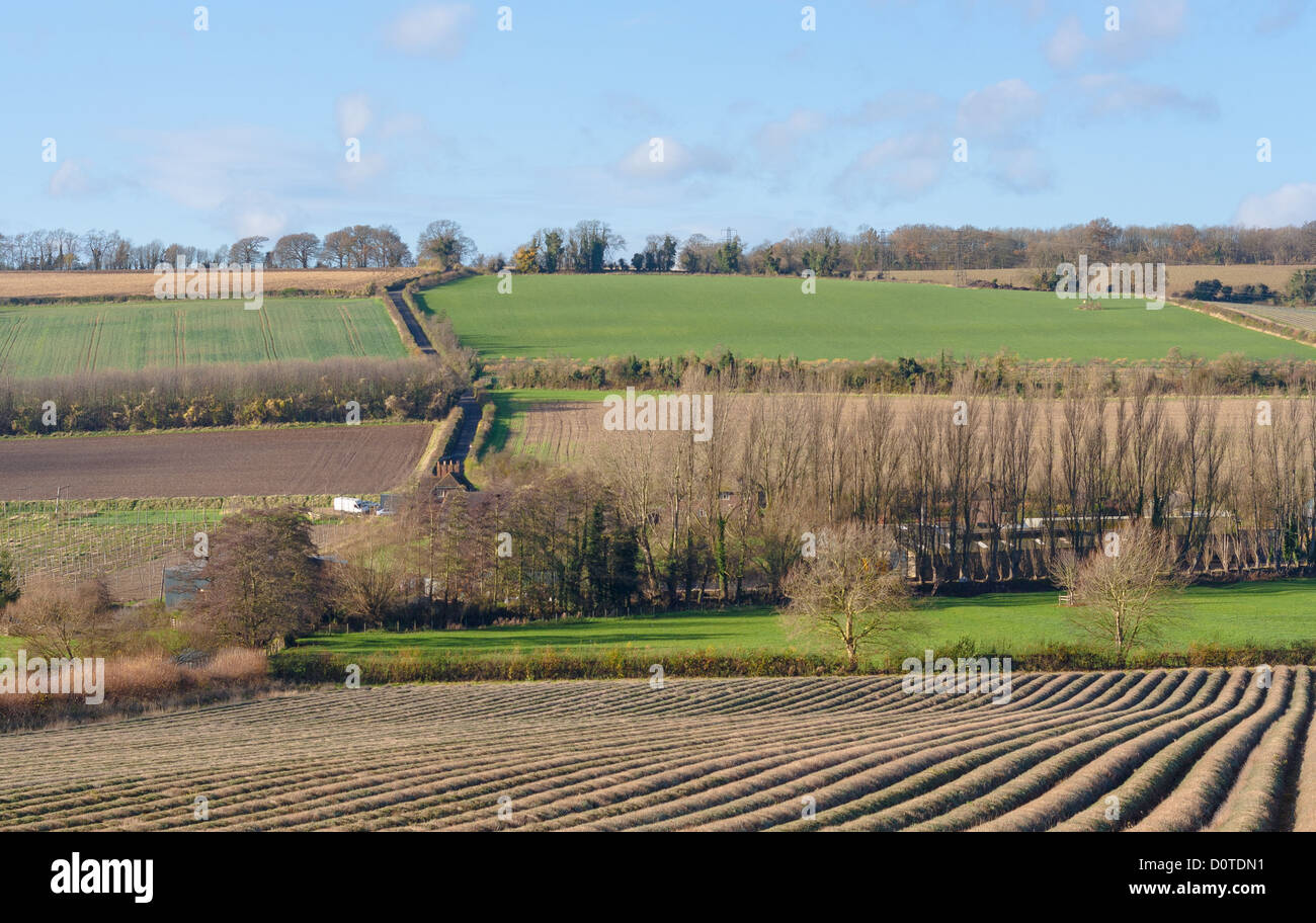 Morgen-Szene Blick über landwirtschaftliche Flächen in der Darent Senke nahe Eynsford in Kent. Stockfoto