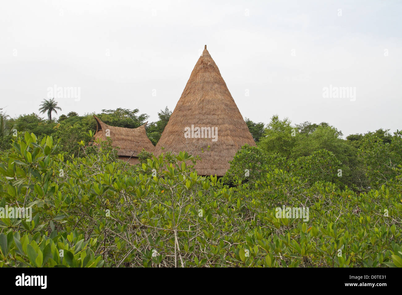 Mandina Lodges Resort, The Gambia, Westafrika Stockfoto