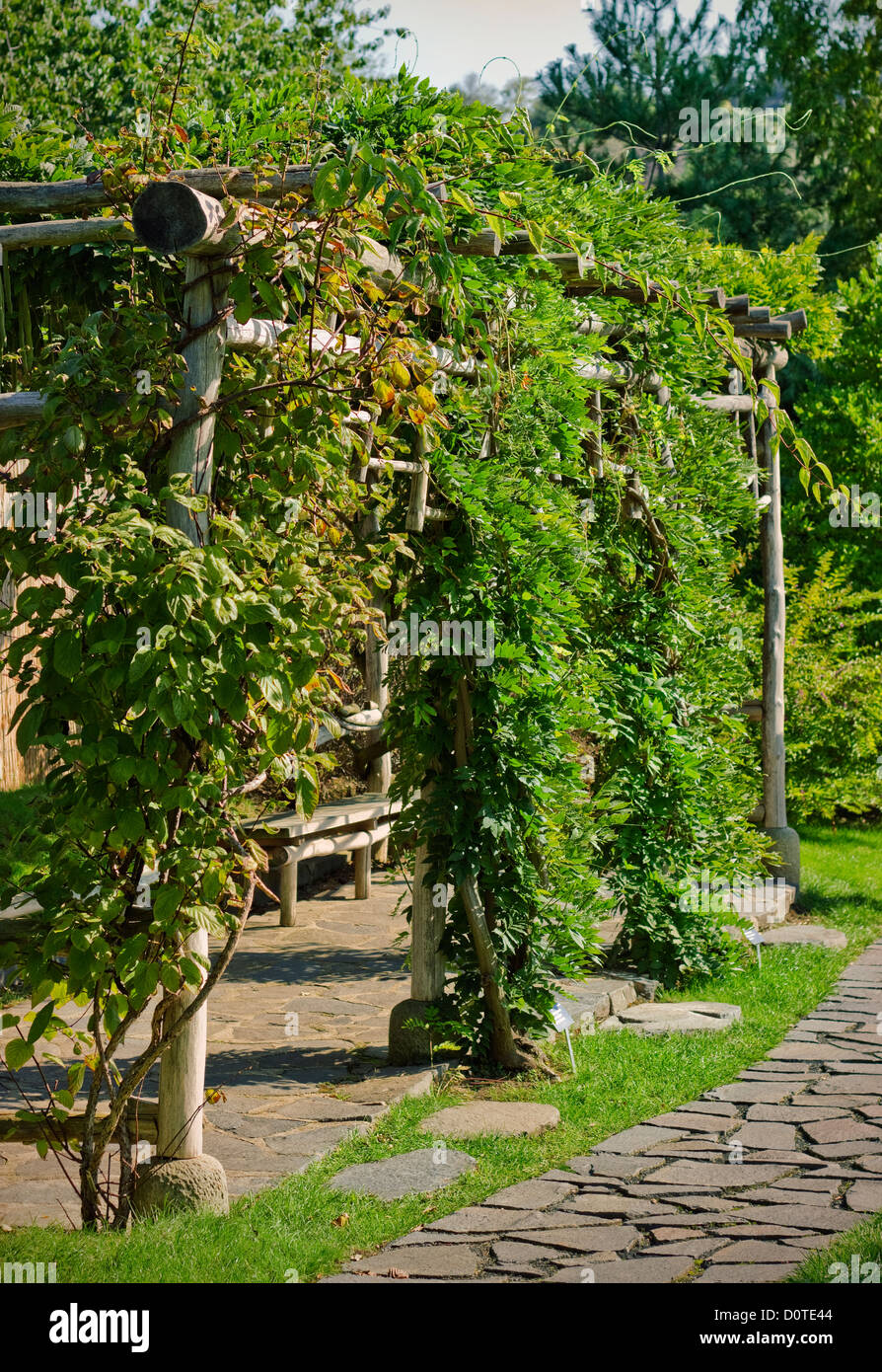 Ivied hölzerne Laube im Sommergarten Stockfoto