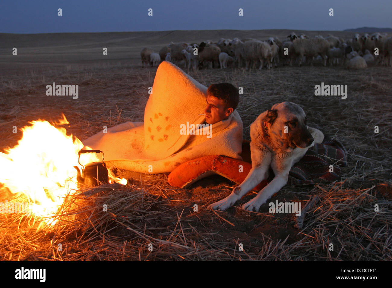 Hirte mit seinem Hund in Zentral-Anatolien-Konya Türkei Stockfoto