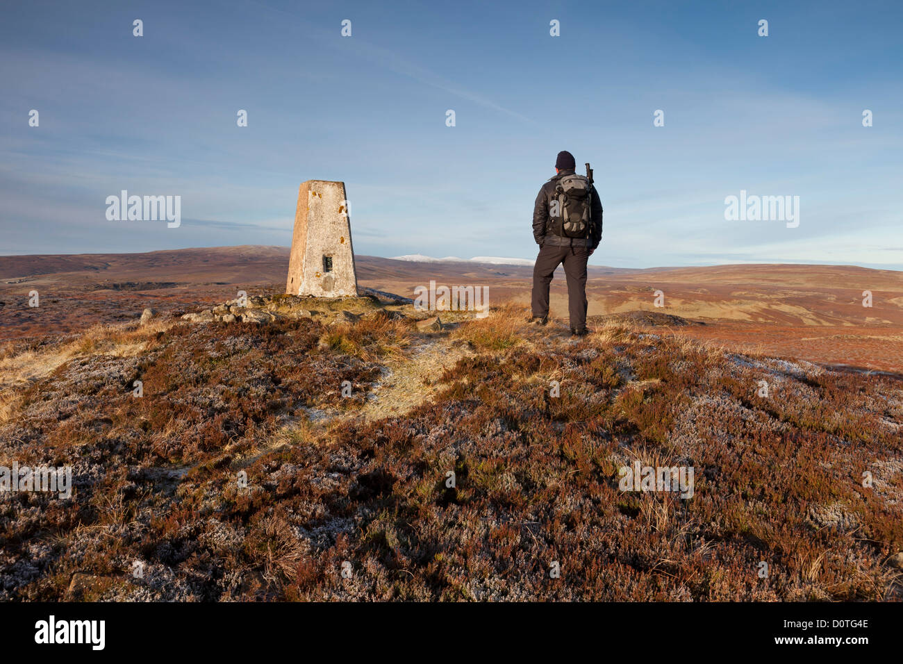 Walker auf dem Gipfel Cronkley verliebte sich High Pennine Hills von Kreuz fiel und fällt die Dun hinter Teesdale County Durham UK Stockfoto