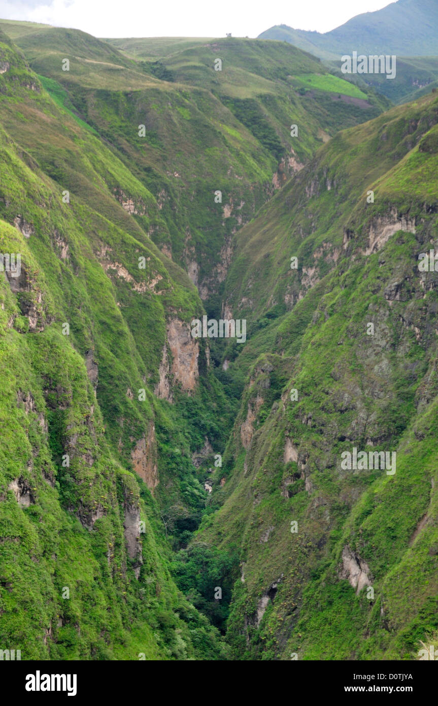 Canyon, Pasto, Anden Berge, Kolumbien, Südamerika, Vegetation, grün Stockfoto