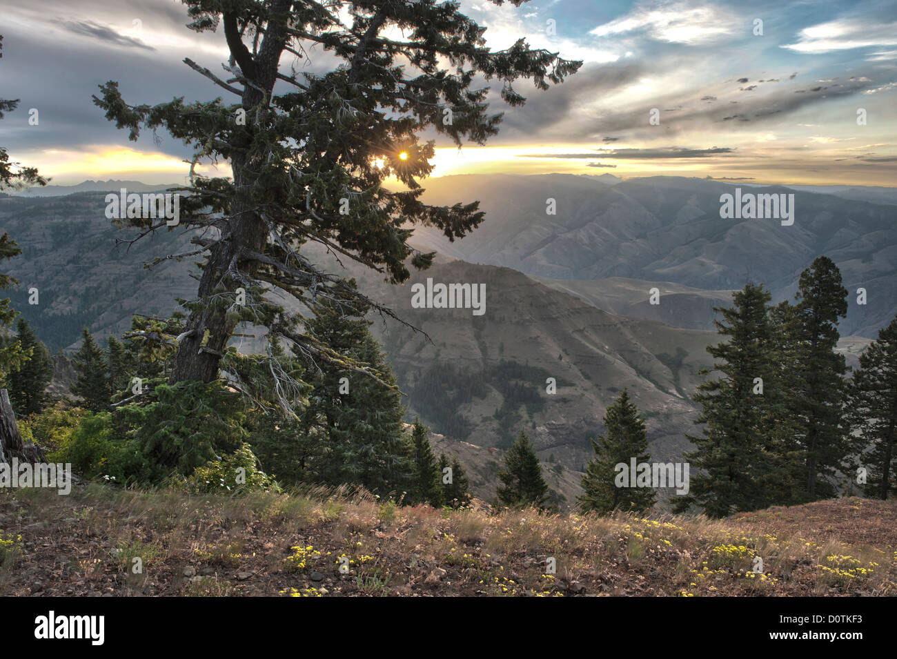Hells Canyon Overlook, Park, Natur, National Recreation Area, Oregon, USA, USA, Amerika, Nordamerika, Stockfoto