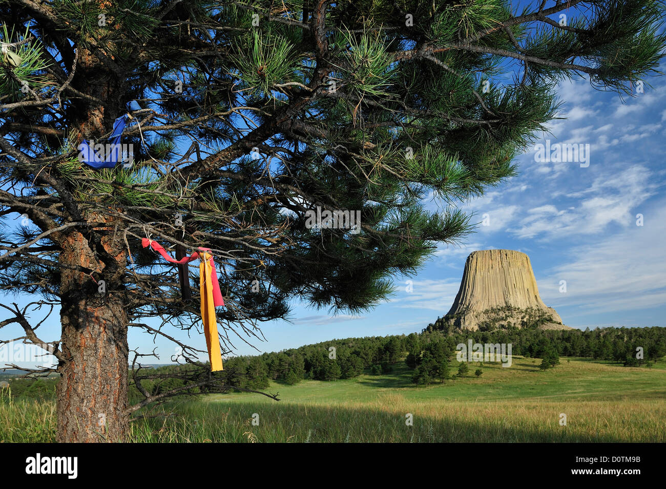 Devils Tower National Monument, Wyoming, Prärie, Grünland, vulkanische, Basalt, Turm, Natur, Landschaft, vertikal, blau, Himmel, Stockfoto