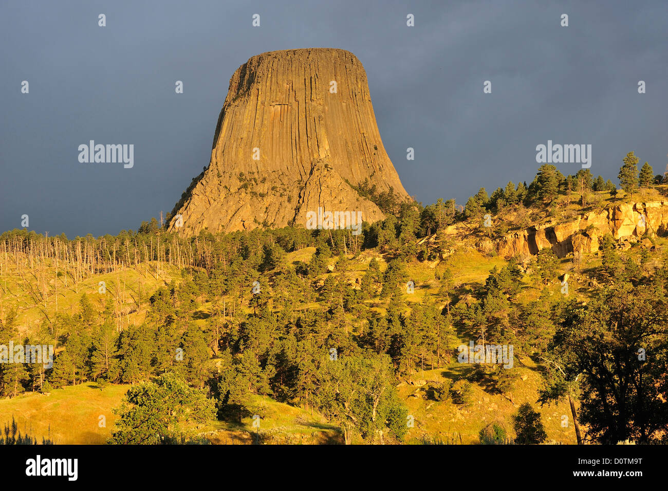 Devils Tower National Monument, Wyoming, Prärie, Grünland, vulkanische, Basalt, Turm, Natur, Landschaft, vertikal, Himmel, Wolken Stockfoto