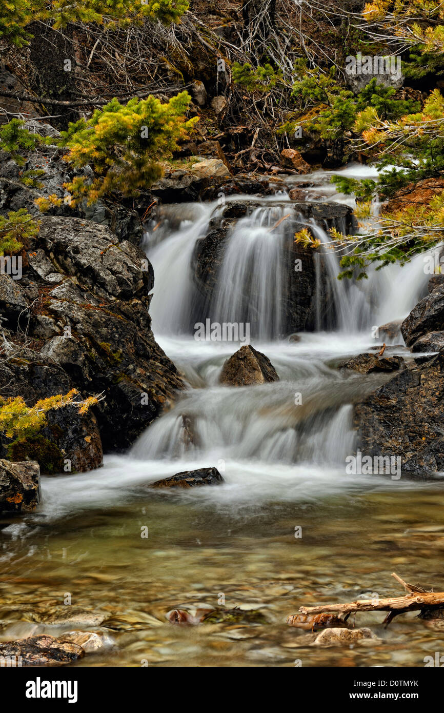 Versteckter Wasserfall in Cameron River Canyon, Waterton Lakes National Park, Alberta, Kanada Stockfoto