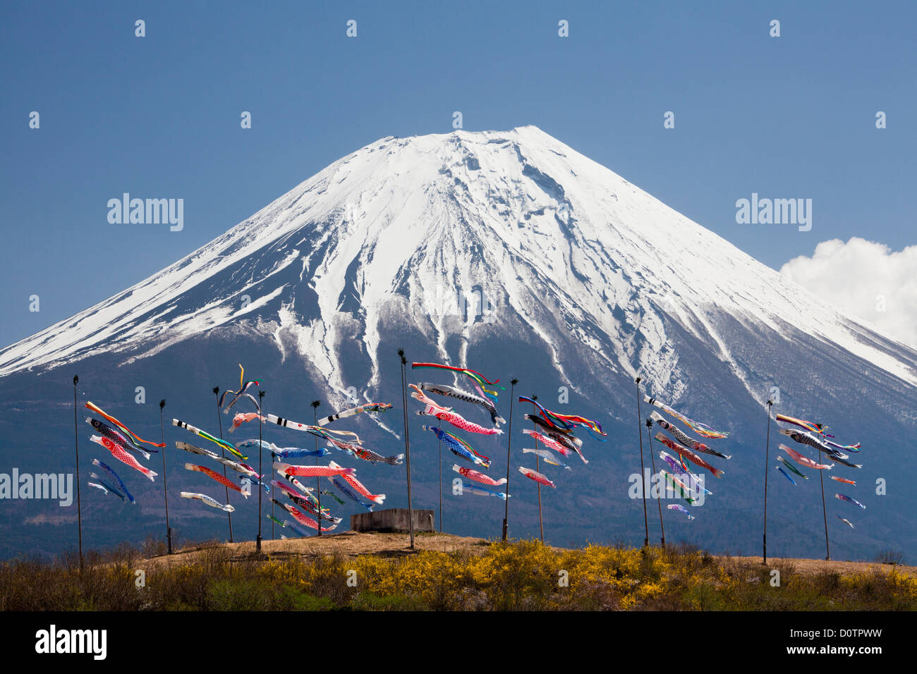 Japan-Asien Urlaubsreisen Koinobori Kinder Festival Fuji Mount Fuji Fujiyama Berg Schnee Frühlingsgarten Vulkan Stockfoto