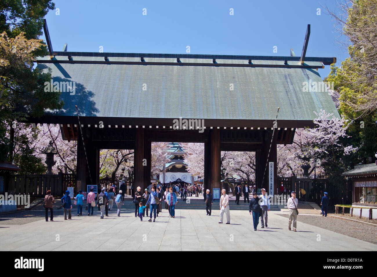 Japan, Asien, Urlaub, Reisen, Tokio, Stadt, Yasukuni, Schrein, Kirschblüten, Blumen, Tor, historische, Geschichte, Denkmal, Frühling Stockfoto