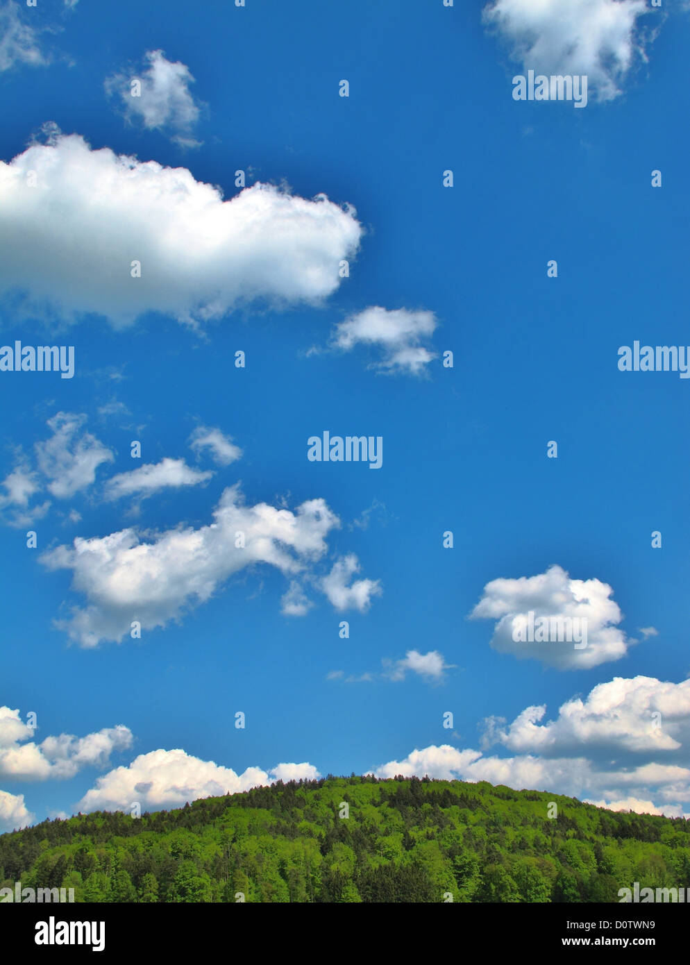 Heap-Deutschland, Europa, Fränkische Schweiz, Europa, Himmel, blau, Wolken, Wolken, Wolken, Wetter, Holz, Wald, Hügel Stockfoto