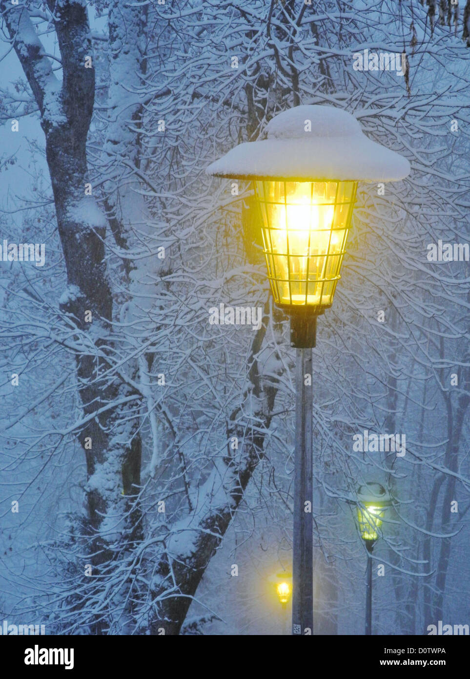 Schweiz, Europa, Leysin, Winter, Schnee, Kälte, Laterne, Straßenlaterne,  Licht, Energie, Bäume, Sonnenuntergang, Dämmerung Stockfotografie - Alamy
