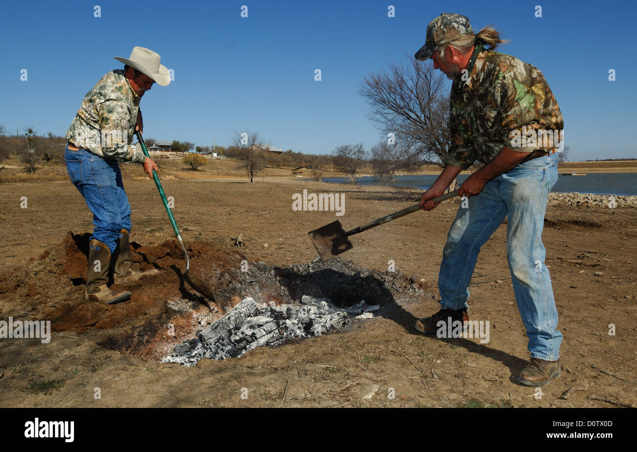 Vorbereitung und kochen ein ganzes Wildschwein (feral Hog) in einer Grube über glühende Kohlen, Albany Texas Stockfoto