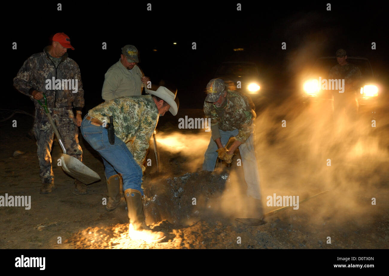 Vorbereitung und kochen ein ganzes Wildschwein (feral Hog) in einer Grube über glühende Kohlen, Albany Texas Stockfoto
