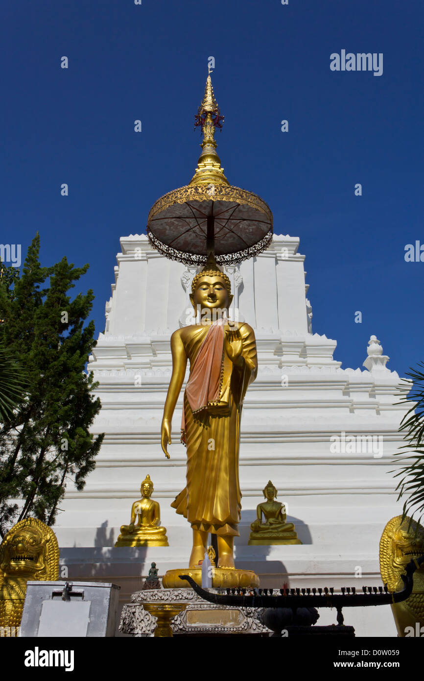 Buddha-Statue im Wat Chang Kam in Chiang Mai Thailand. Stockfoto